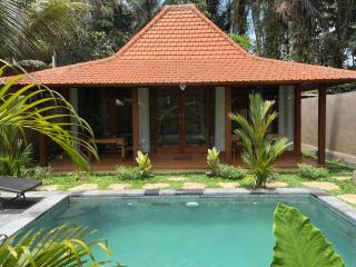 Dewaka Villa - Ubud - 8