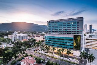 TwinTree Kelawai - 4