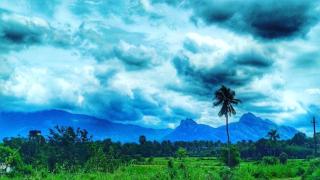 Aneys River view Home stay & resort - Palakkad - 8