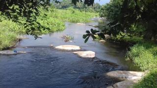 Aneys River view Home stay & resort - Palakkad - 4