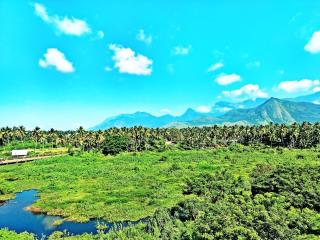 Aneys River view Home stay & resort - Palakkad - 2