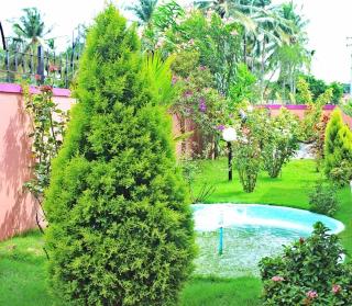 Aneys River view Home stay & resort - Palakkad - 1