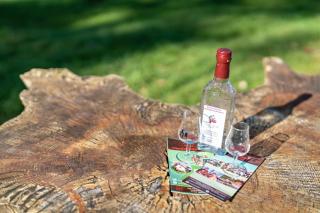 Trekking Camp am Renchtalsteig - 2