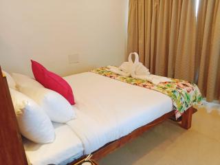 Blue Dolphin homestay - Tadri - 1