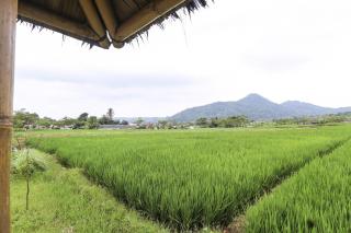 OYO Homes 91151 Desa Wisata Kreatif Perdamaian Srumbung Gunung - Karangjati - 3