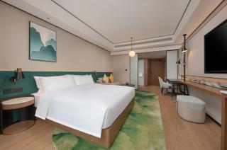 Hilton Garden Inn Zhangjiajie Wulingyuan - Zhangjiajie - 6