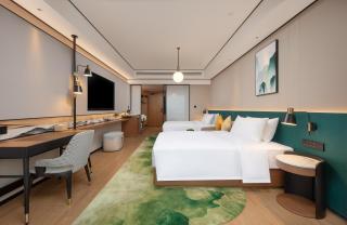 Hilton Garden Inn Zhangjiajie Wulingyuan - Zhangjiajie - 5