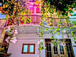 purple villa - Mirissa - 8