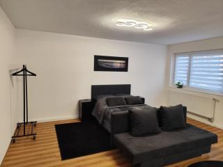 Fewo Wellfit - Bad Buchau - 9