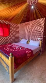 panorama luxury camp - Wadi Rum - 7