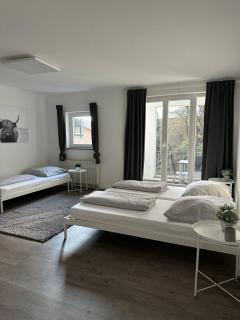 einladende Wohnung im Herzen von Sinsheim - Sinsheim - 0