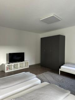 einladende Wohnung im Herzen von Sinsheim - Sinsheim - 5
