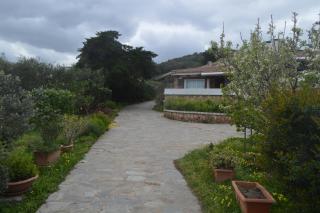 Appartamento delle Rose - 2