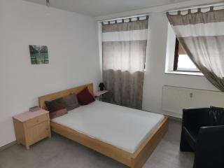 Halle EG, Bestpreis in Preis- Leistung, 1- 3 Doppelzimmer, plus TV Lounge extra Küche u Bad bis 6 Personen - Halle an der Saale - 5