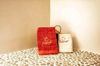 Ô Cinquante Wellness - Marchin - 1