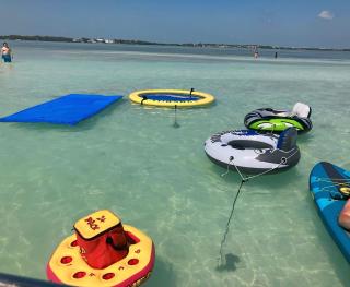 Snorkel in Islamorada's Clear Blue Waters - Islamorada - 6