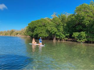 Snorkel in Islamorada's Clear Blue Waters - 2