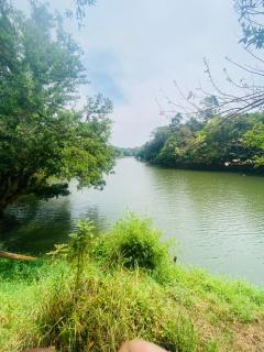 Happydays Hut - 9