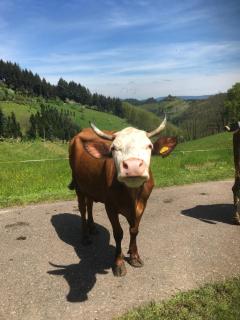 Farm Sternenklar - - 0