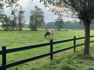 Glamping Hoeve Meijer Otterlo - Harskamp - 7