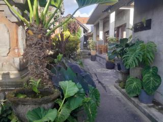Tirta Sari House - Ubud - 2
