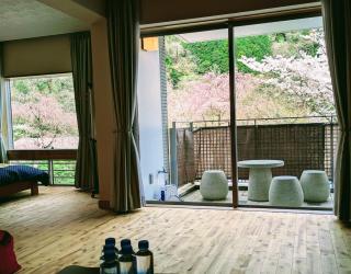 condominium SAKURA B5 - 5