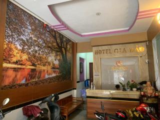 OYO 1165 Gia Bao Hotel - Ho Chi Minh City - 6