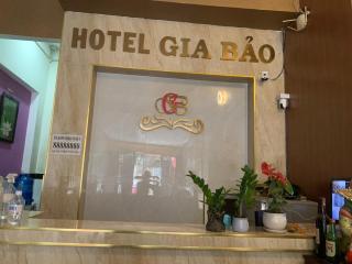 OYO 1165 Gia Bao Hotel - Ho Chi Minh City - 5