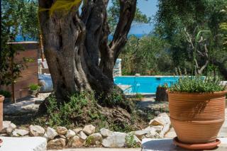 Paxosblue Junior suite private pool - - 8