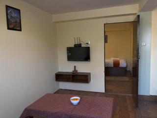 Zenith Apartments Thamel -Annapurna 1BHK Apartment - 4