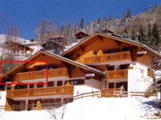 Charmant 3 pièces avec balcon et animaux admis à Châtel - FR-1-676-99 - Châtel - 3