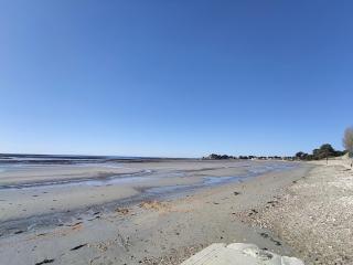 Maison moderne pour 8 pers. à 600m de la plage avec grand jardin - FR-1-639-140 - 9