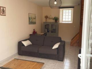 Gîte confortable avec Wi-Fi, proche Zoo de Beauval et châteaux de la Loire - FR-1-491-458 - 9