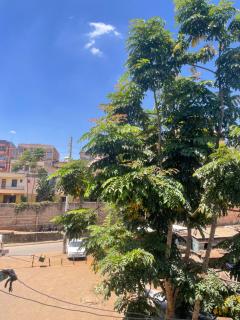 Thika Comfort Studio - Thika - 2