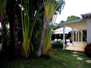 Habitation de l'Anse Mancenillier - 9