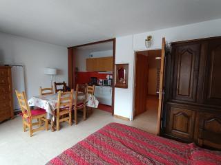 Grand studio au pied des pistes, balcon sud, parking réservé, animaux acceptés, proche commerces - FR-1-445-63 - Monginevro - 0