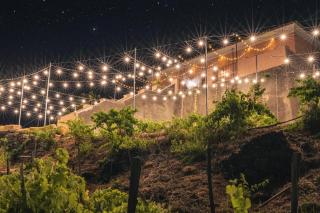 Casale alle Vigne - Trecastagni - 9