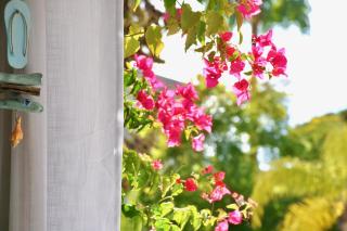 Aquamarine - Gemstone Getaway - Vale do Lobo - 7