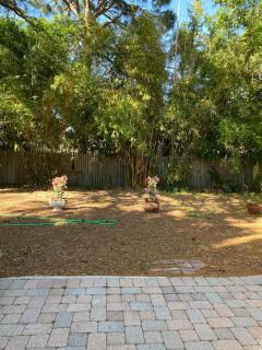 Liza's Florida House - 6