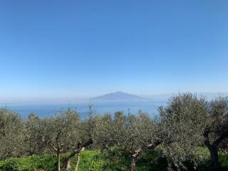 A Sorrento B&B,relaxing location with Seaview - Sorrento - 4