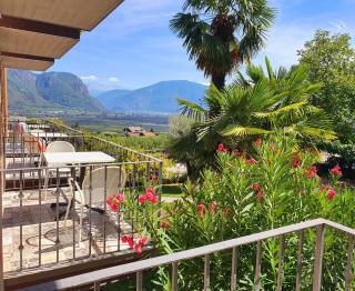 Zeder Kraiterhof - 5