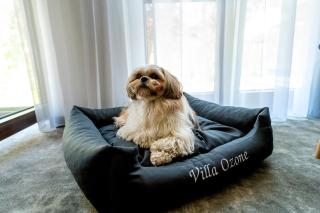 Villa Ozone - Sopot - 4