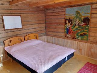 Takalahti Lodge - Puumala - 9
