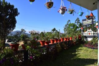 Munnar Dreams Homestay For Kolukkumalai Tourists - Chinnakanal - 9