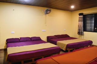 Jungle Haven Dandeli - Dandeli - 5
