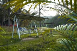 Jungle Haven Dandeli - Dandeli - 3