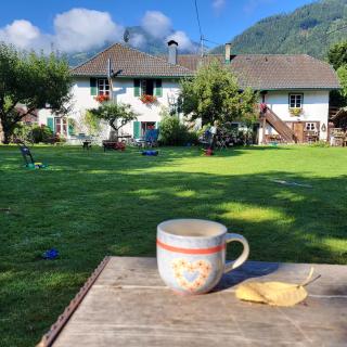 Sachserhof Ferienwohnungen in Sachsenburg - 0