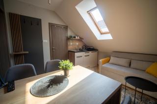 Turista-Apartmani u centru sa parkingom - Novi Sad - 3