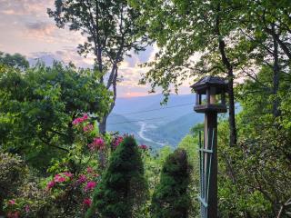 Buckhorn Lodge - Maggie Valley - 7