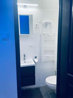 Luxury downtown studios - Budapest - 8